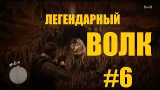 Red Dead Redemption 2✦ЛЕГЕНДАРНЫЙ ВОЛК✦6✦