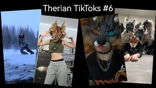 Therian TikTok Compilation #6