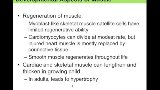 Chapter 9.10 Developmental Aspects of Muscle BIO201
