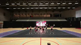 Wild Panthers Jole Dance Academy YOUTH POM