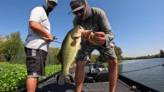 CA Delta punching, vibrating jig & frog GoPro footage featuring Ken Mah