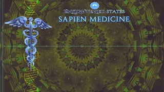 Sapien Medicine Transmutation of Lower and Basal Energy Programmed Audio Internal Alchemy Series p 6