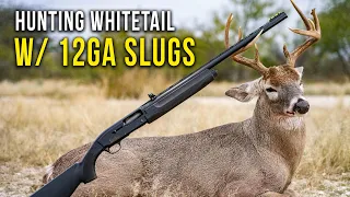 Whitetail Hunting with a Shotgun