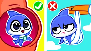 NEW SIBLING STORY 🍼 Taking Care of Baby Brother 🍼 Funny and Educational Kids Cartoon