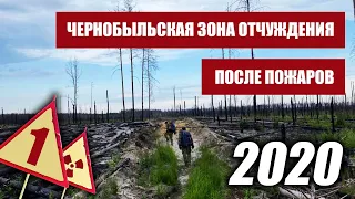 Чернобыльская Зона Отчуждения после пожаров 2020. Часть1