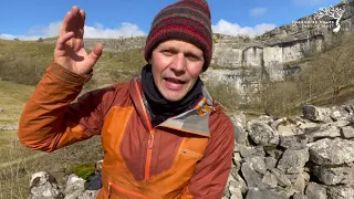 The Mother Tree of Malham Cove