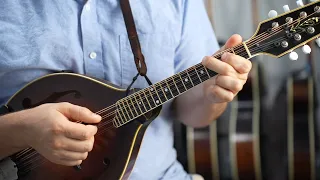 Swallowtail Jig: Chords & Strum Pattern (3 Voicings) - Mandolin Lesson