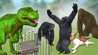 Gorilla vs dinosaur and dog comedy short video ## Cartoon Gorilla funny video by Mr Lavangam