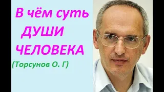 У человека есть душа. Суть души. Торсунов О. Г.