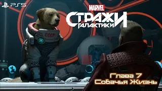 MARVEL Стражи Галактики - Глава 7. Собачья Жизнь (Прохождение Без Комментариев PS5)