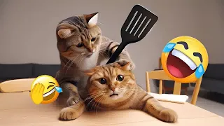 Try Not To Laugh 😂 New Funny Cats And Dogs Video 😺