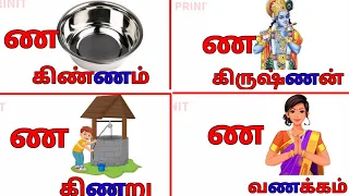 ண வரும் வார்த்தைகள்/ண words in tamil/ண வரும் சொற்கள்/ண வரிசை எழுத்துக்கள்/prinit