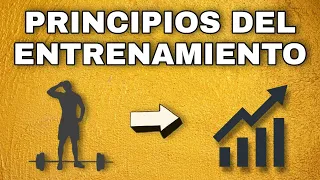 PRINCIPIOS BÁSICOS del ENTRENAMIENTO que todo INICIANTE debe CONOCER [PARTE 1]