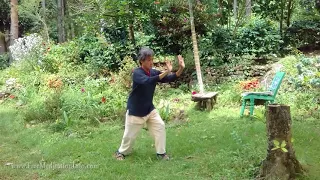 Shibashi - The 18 movements with instruction; Tai Chi/Qigong.