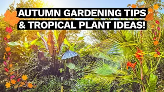 Mark's Crazy Tiki Garden - Autumn Tropical Garden & Greenhouse Tour