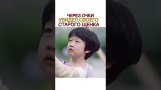 💜Нашёл своего щенка Сказка о Кумихо💜