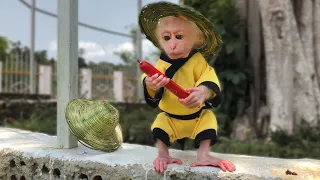 Dad Knits a Bamboo Hat for Baby Monkey Bon - Adorable Funny