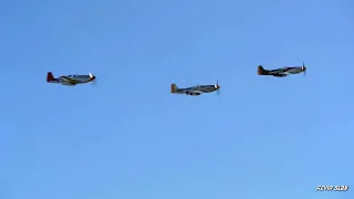 The Sound of Three Mustangs Flying