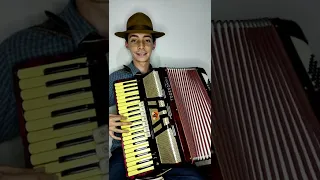 TODO MUNDO CONHECE ESSE SOLO DO VONINHO - Amor Distante (Os Filhos de Goiás)