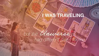 How SIA led me to full time Tarot Reading