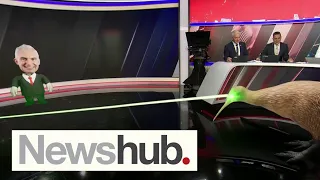 Linda the Laser Kiwi strikes on live TV | Newshub