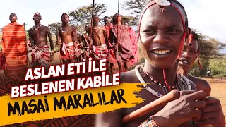 Aslan Eti İle Beslenen Kabile: Masai Maralılar