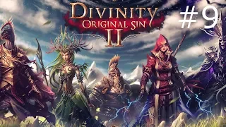 Divinity Original Sin 2 Собрал весь сет брони Бракка . Бросьба белого дракона