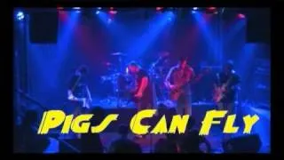 PIGS CAN FLY: 2 Songs live