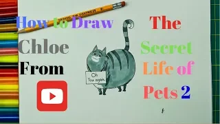 How to Draw Chloe from The Secret Life of Pets 2 (Lake Bell) | Coloring | Drawing For Everyone37