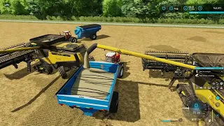 Prairie Farm Michigan USA EP#2 | Farming Simulator 22 Timelapse | FS 22 |