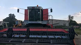 Пошло зерно-Massey Ferguson MF 7274 CEREA (2020г)