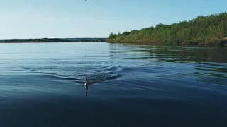 Рыбалка на шолгском перевозе. Последний весенний день. 31 мая 2019. Шолга. Подосиновский. Кировская