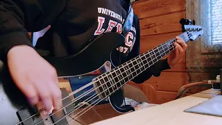 Haloo Helsinki! - Reiviluola [Bass Cover]