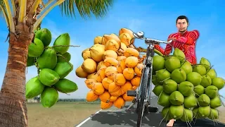 नारियल वाला की सफलता coconut seller Funny Hindi Comedy Video
