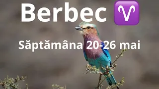 Berbec ♈️-săptămâna 20-26 mai!!!