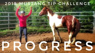 Progress | 2019 Mustang TIP Challenge