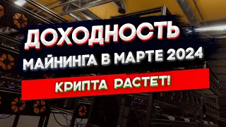 Доходность майнинга в Марте 2024