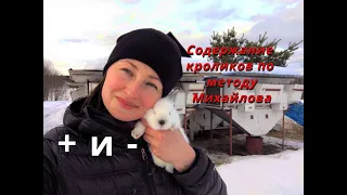 Содержание кроликов по методу Михайлова / КРОЛИКОФЕРМА / Плюсы и минусы