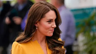 ‘PR disaster’: Royal expert claims Princess Kate’s photo edit an ‘innocent mistake’