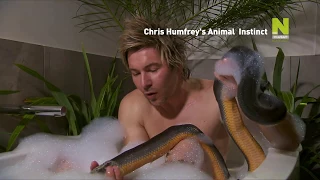 Животные инстинкты с Крисом Хамфри - промо передачи на Viasat Nature HD