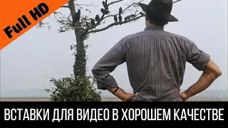 Челентано договаривается с воронами - "Надо уметь разговаривать, это тебе не люди" - Отрывок