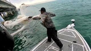 Cast Netting Tampa Bay