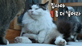 한파경보에도 따뜻한 온돌집이 최고!