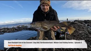 Best of the Season in Daylight! | Bog Hall, Northumberland | Winter Cod Fishing Series | Episode 8