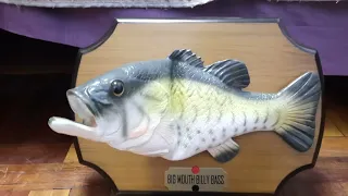 Big Mouth Billy Bass from Ebay