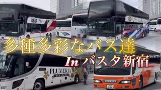 多種多彩なバス達がやってくる"バスタ新宿"を'観察'してみた！