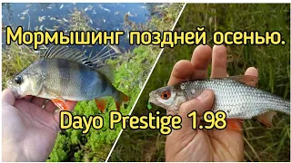 Мормышинг поздней осенью. Dayo Prestige 1.98 / 0,2-0,8 гр.