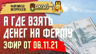 🐰Где взять денег на ферму Чем подогреть гнездо и как добыть Кроличьи языки Субботний МАРАФОН #МАКРОЛ