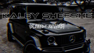 Kaley sheeshe | Addy nagar || slowed reverb | #youtube#viralvideo #viralsong ##musicvideo #lofimusic