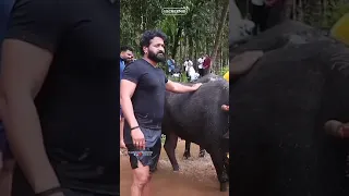 🤩Rishab shetty practice for kanthara movie kambala scene💥👌subscribe now🙏for more kantara updates